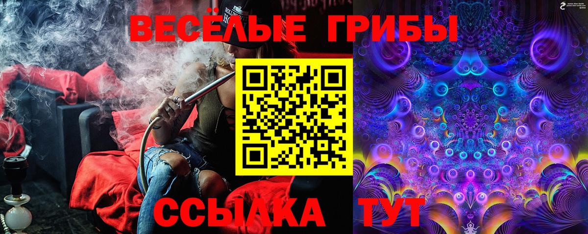 Ливны  Галлюциногенные грибы Psilocybine cubensis  Вход с VPN 